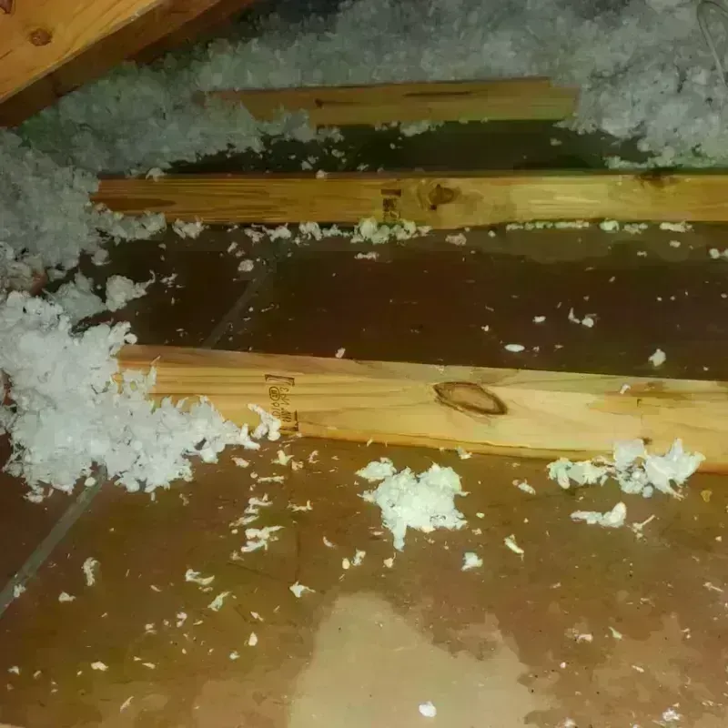 Attic Water Damage in Rancho San Diego, CA