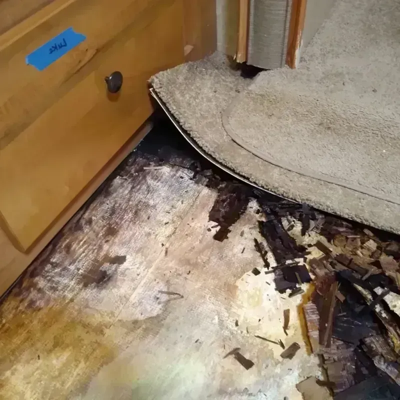 Best Wood Floor Water Damage Service in Rancho San Diego, CA